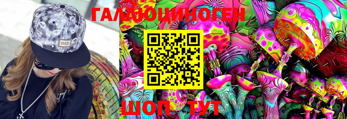 Псилоцибиновые грибы Psilocybine cubensis  Вход с VPN  Коломна 
